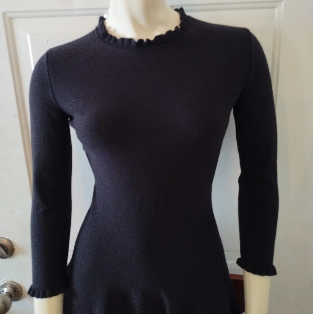 Kate Spade Sweater Knit Pointelle Dress Ruffle Neck Sleeves Fit & Flare Academia